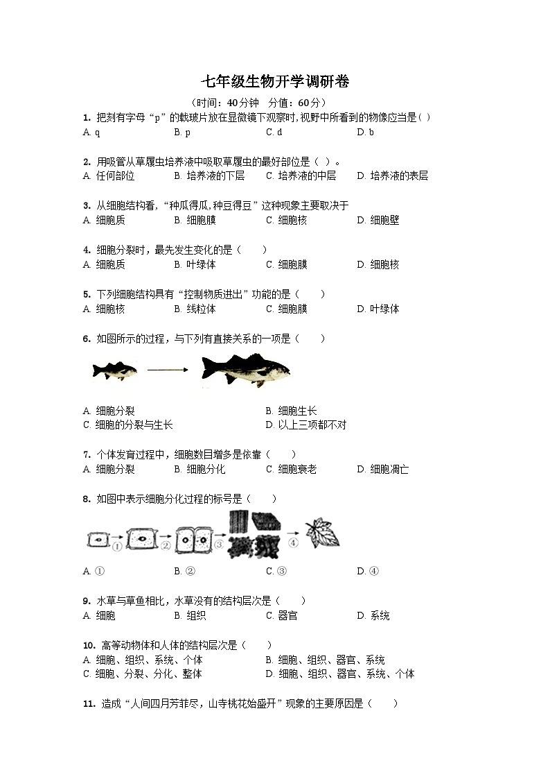 山东省聊城市东阿县第三中学2023-2024学年七年级上学期开学生物试题