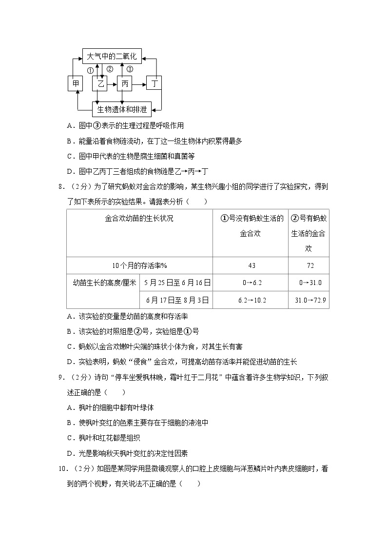 广西桂林市柘木初级中学2022-2023学年七年级上学期期中生物试卷02