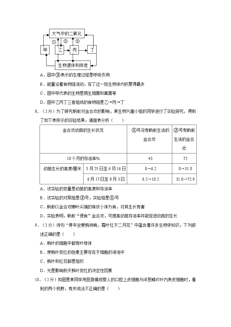 广西桂林市柘木初级中学2022-2023学年七年级上学期期中生物试卷第2页