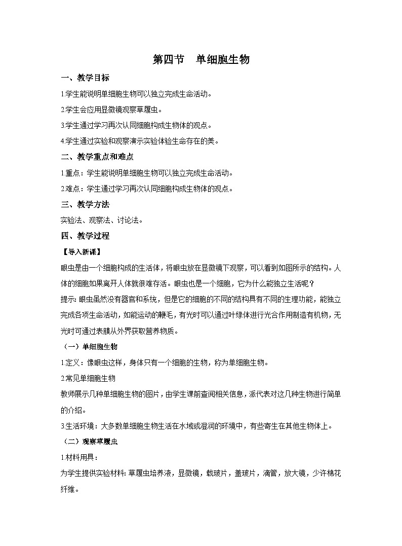 2.2.4单细胞生物教案 人教版生物七年级上册01