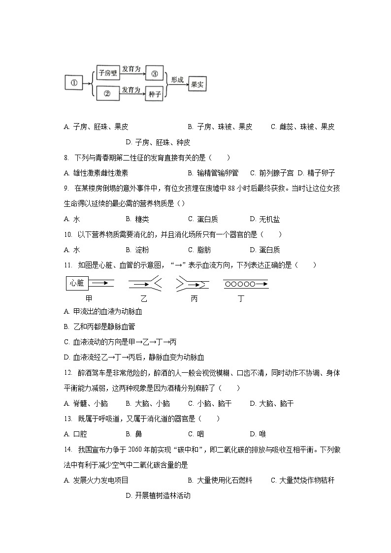 2023-2024学年辽宁省鞍山市铁西区八年级(上)开学生物试卷(含解析)第2页