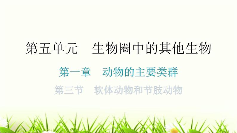 人教版八年级生物上册第五单元第一章第三节软体动物和节肢动物教学课件第1页