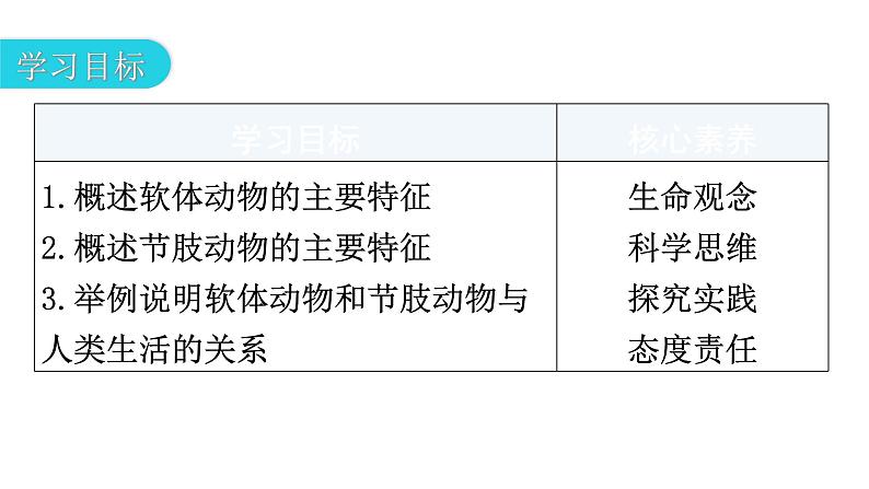 人教版八年级生物上册第五单元第一章第三节软体动物和节肢动物教学课件第3页
