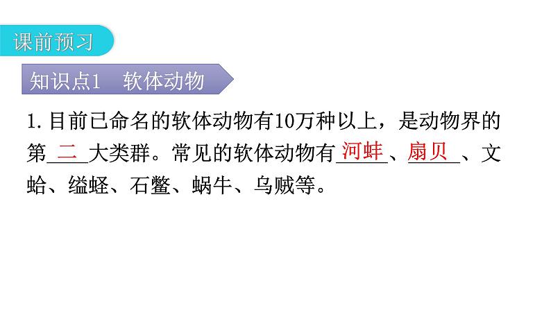 人教版八年级生物上册第五单元第一章第三节软体动物和节肢动物教学课件第4页