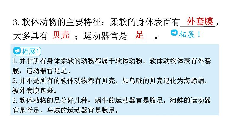 人教版八年级生物上册第五单元第一章第三节软体动物和节肢动物教学课件第7页