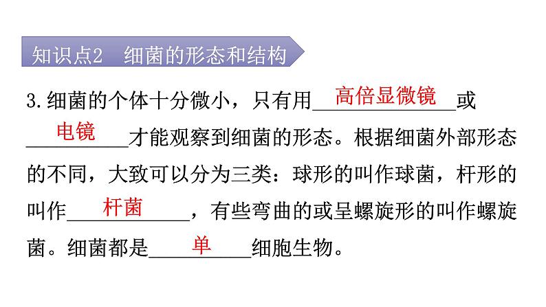 人教版八年级生物上册第五单元第四章第二节细菌教学课件第7页