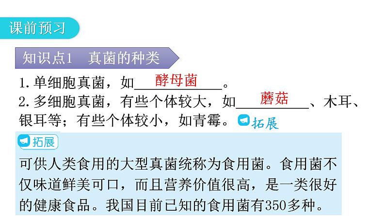 人教版八年级生物上册第五单元第四章第三节真菌教学课件04