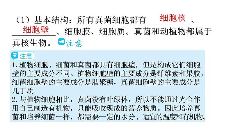 人教版八年级生物上册第五单元第四章第三节真菌教学课件07