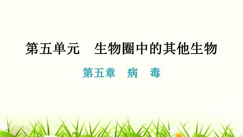 人教版八年级生物上册第五单元第五章病毒教学课件第1页