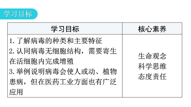 人教版八年级生物上册第五单元第五章病毒教学课件第3页