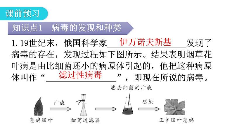 人教版八年级生物上册第五单元第五章病毒教学课件第4页