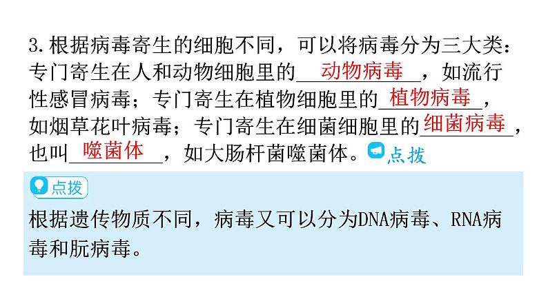 人教版八年级生物上册第五单元第五章病毒教学课件第6页