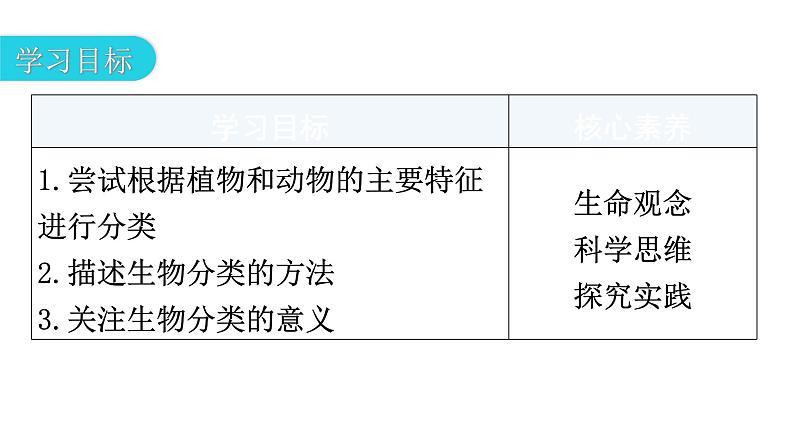 人教版八年级生物上册第六单元第一章第一节尝试对生物进行分类教学课件第3页
