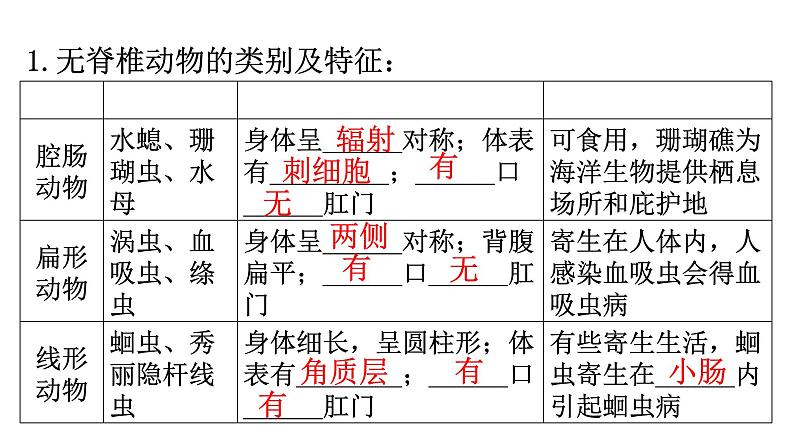 人教版八年级生物上册第五单元第一章动物的主要类群练习课件02