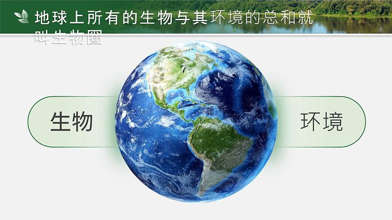 【核心素养目标】1.2.1《生物与环境的关系》课件02