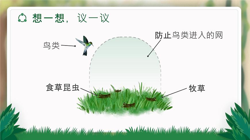 【升級(jí)重制】生物與環(huán)境組成生態(tài)系統(tǒng)第3頁