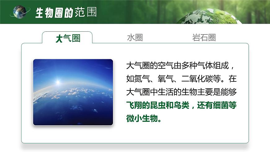 【升級重制】生物圈是最大的生態(tài)系統(tǒng)第7頁