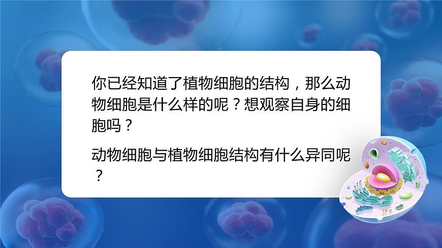 【升級重制】動(dòng)物細(xì)胞第3頁