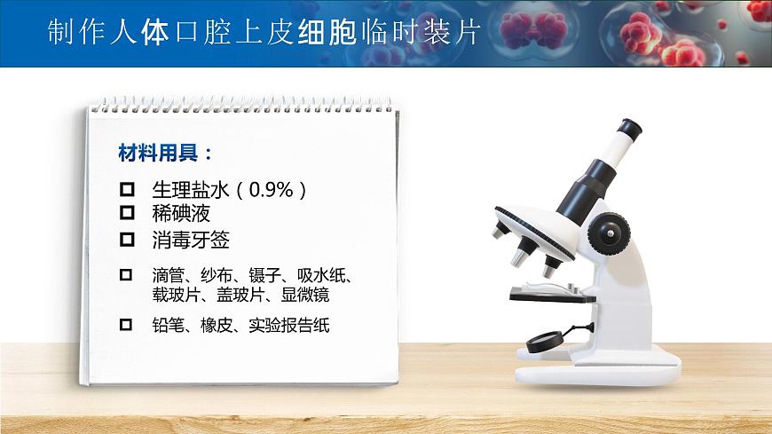 【升級重制】動(dòng)物細(xì)胞第6頁