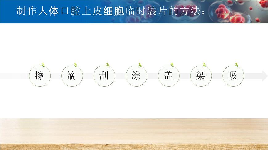 【升級重制】動(dòng)物細(xì)胞第7頁
