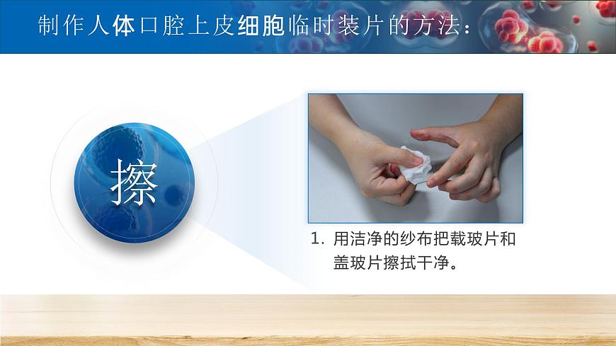 【升級重制】動(dòng)物細(xì)胞第8頁