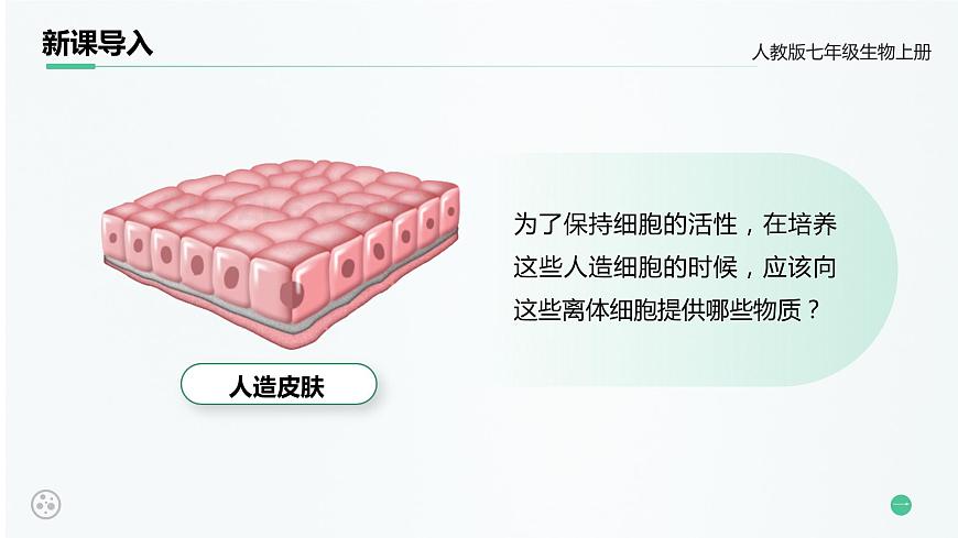 【升級重制】細胞的生活第5頁