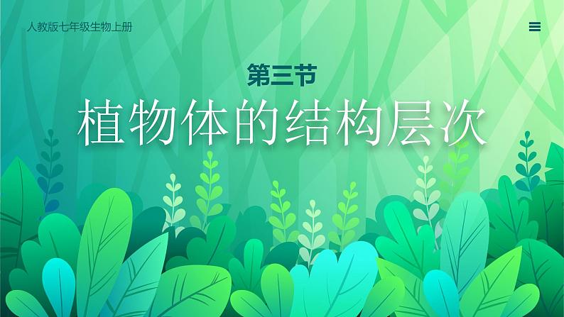 【核心素养目标】2.2.3《植物体的结构层次》课件01