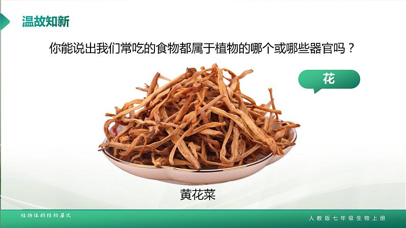 【核心素养目标】2.2.3《植物体的结构层次》课件07