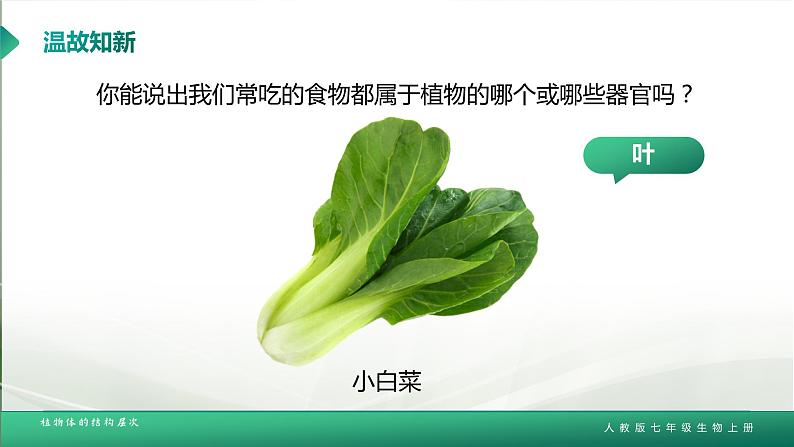 【核心素养目标】2.2.3《植物体的结构层次》课件08