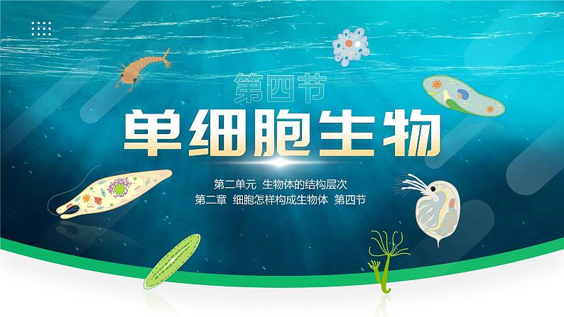 【核心素养目标】2.2.4《单细胞生物》课件01