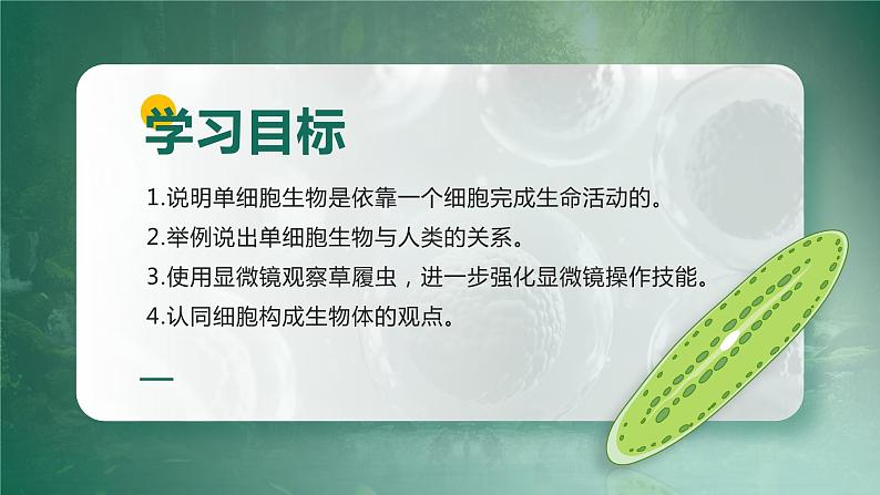【核心素养目标】2.2.4《单细胞生物》课件03