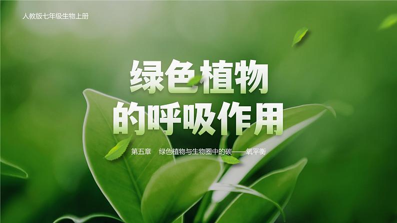 【核心素养目标】3.5.2《绿色植物的呼吸作用》课件01