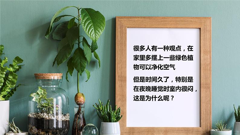 【核心素养目标】3.5.2《绿色植物的呼吸作用》课件02