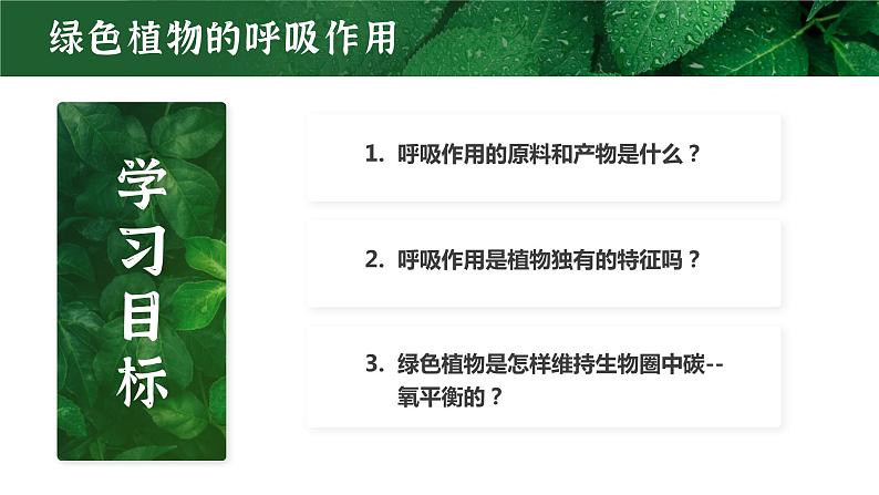 【核心素养目标】3.5.2《绿色植物的呼吸作用》课件05