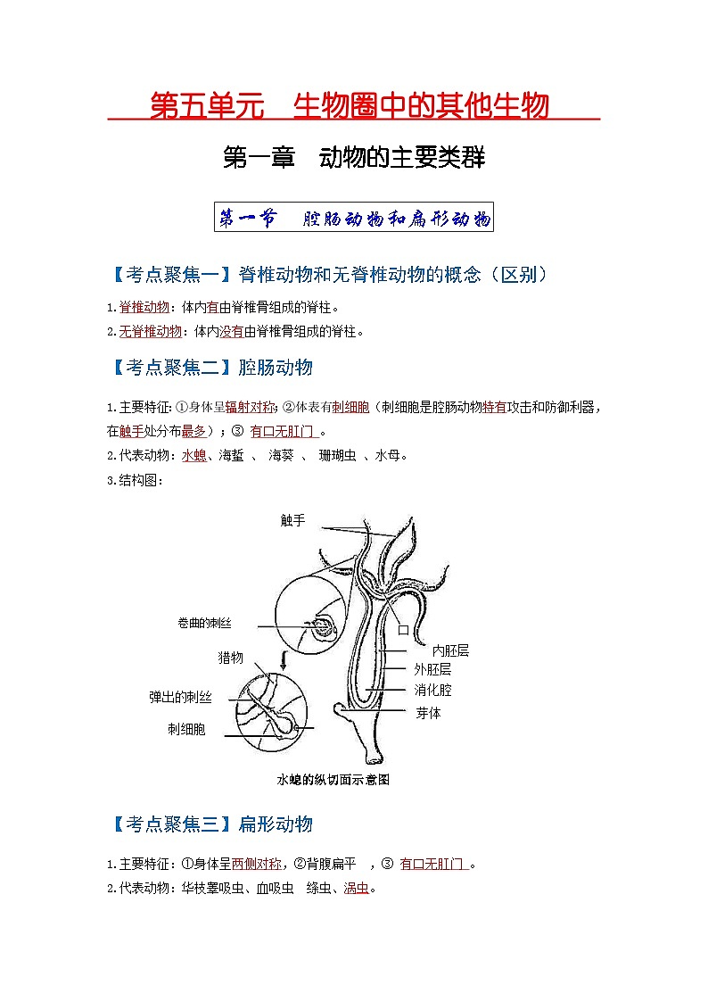 中考生物一轮复习知识点梳理考点 动物的主要类群(无脊椎动物)01