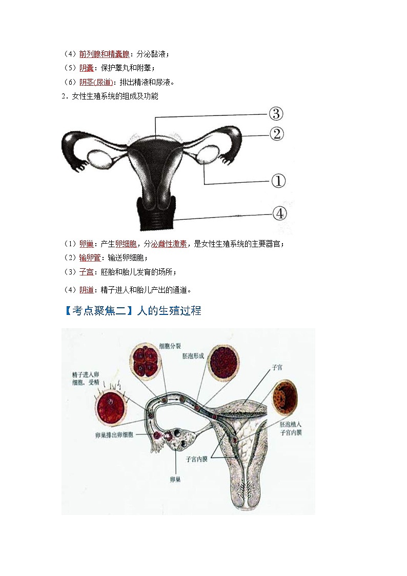 中考生物一轮复习知识点梳理考点 人的由来02