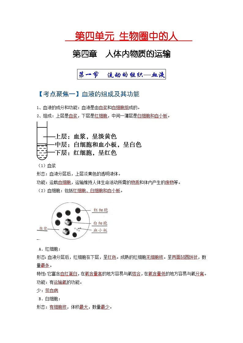 中考生物一轮复习知识点梳理考点 人体内物质的运输第1页