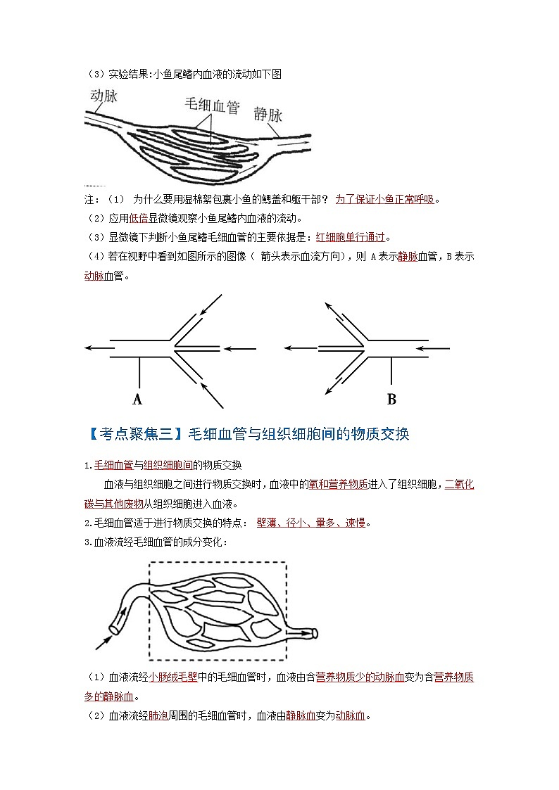 中考生物一轮复习知识点梳理考点 人体内物质的运输第3页