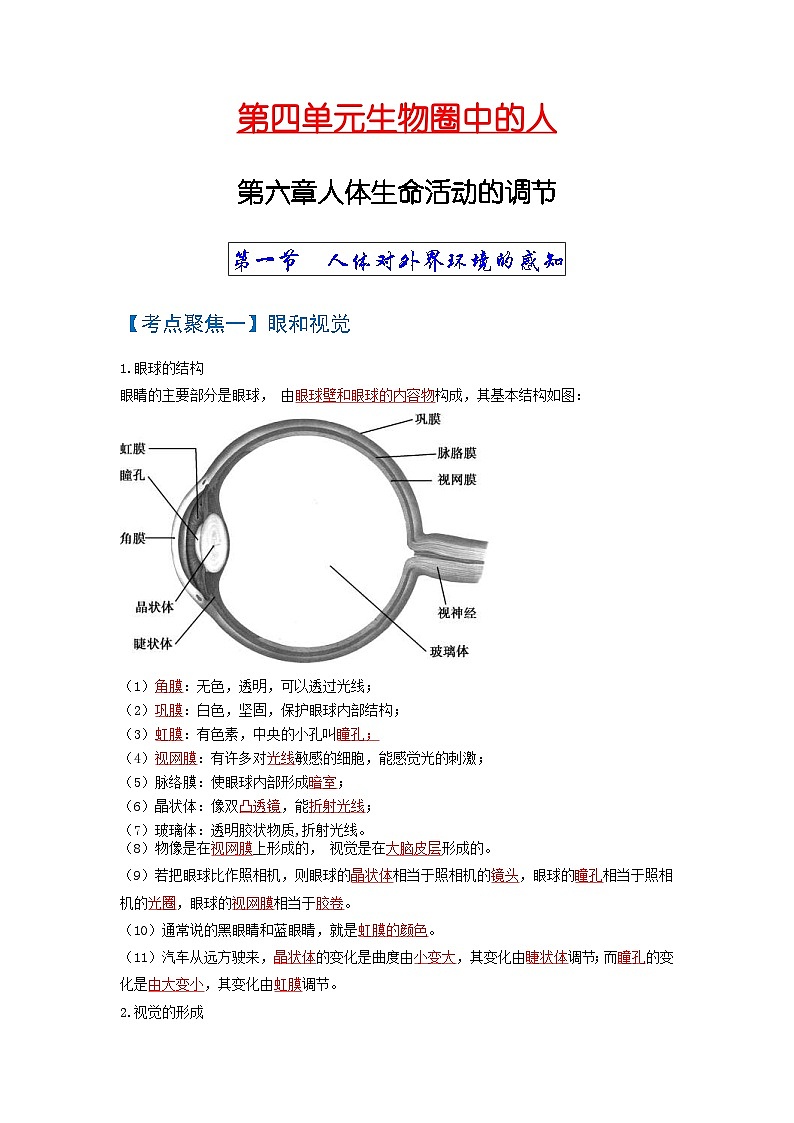 中考生物一轮复习知识点梳理考点 人体生命活动的调节01