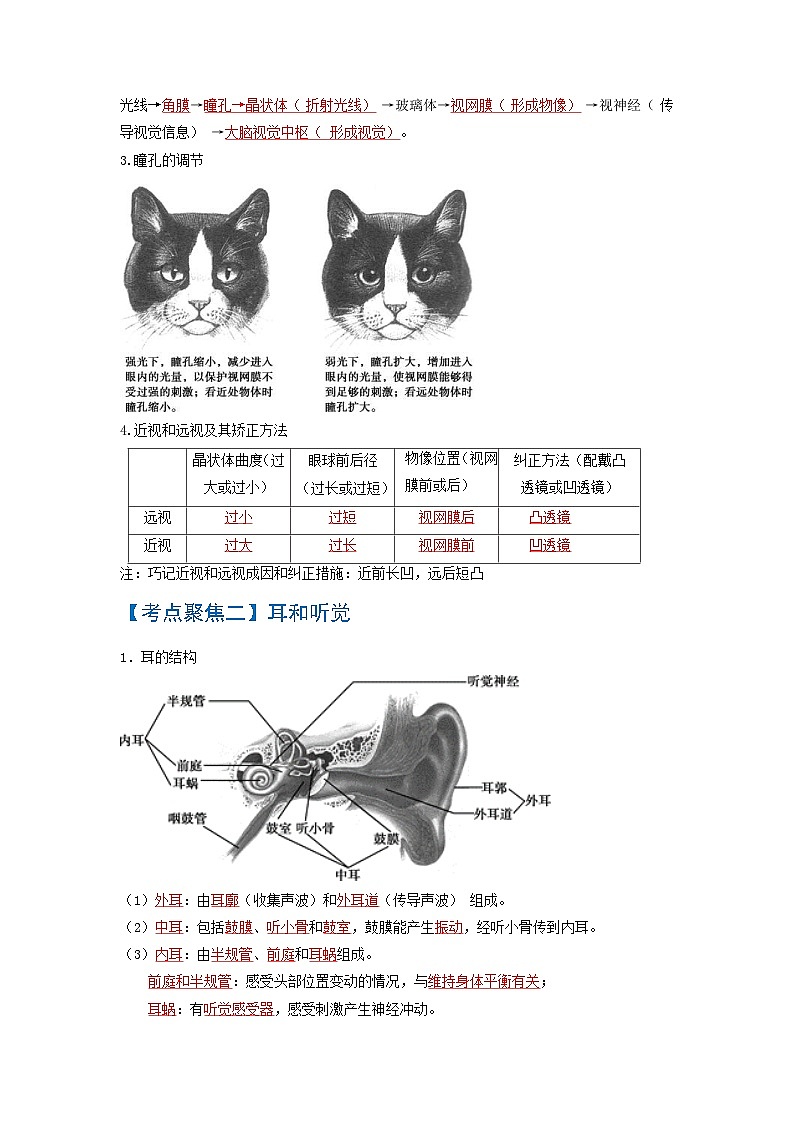 中考生物一轮复习知识点梳理考点 人体生命活动的调节02