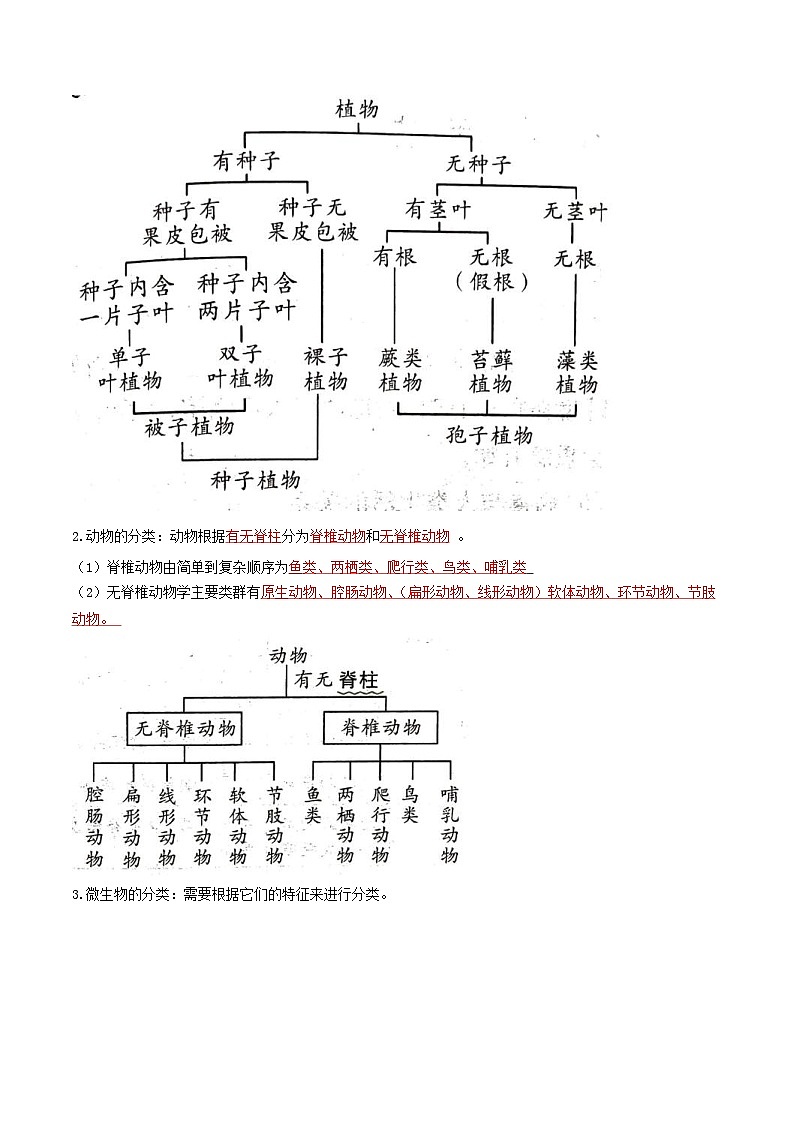 中考生物一轮复习知识点梳理考点 生物的多样性及其保护02