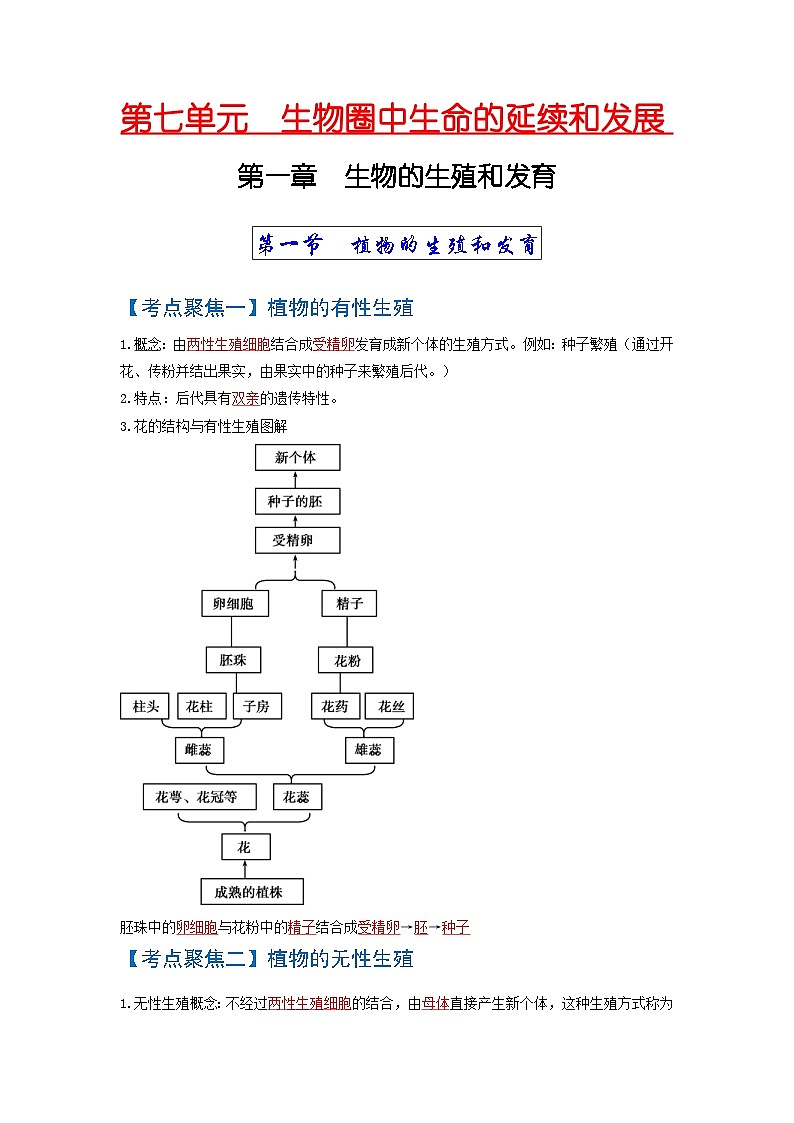 中考生物一轮复习知识点梳理考点 生物的生殖和发育01