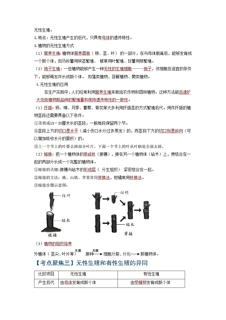 中考生物一轮复习知识点梳理考点 生物的生殖和发育02