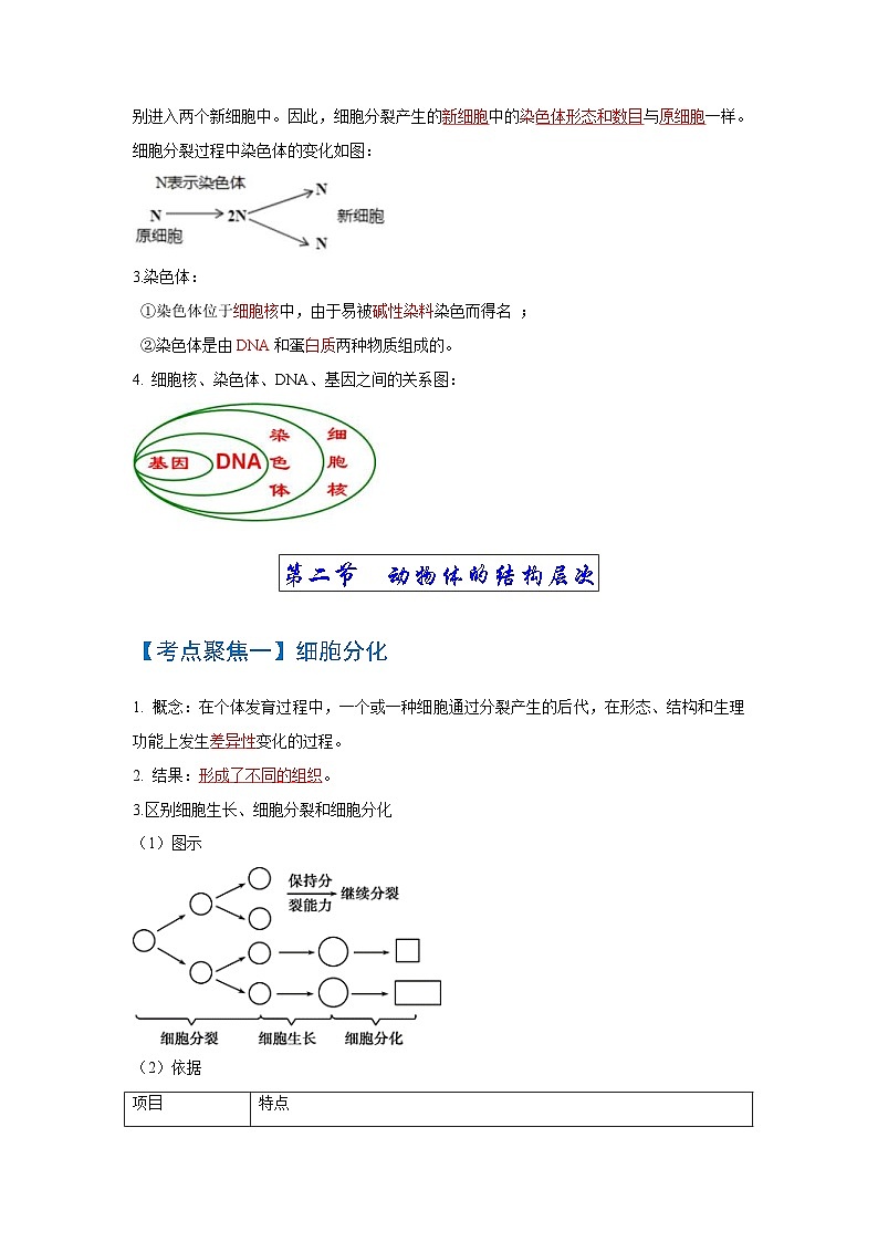 中考生物一轮复习知识点梳理考点 细胞怎样构成生物体02