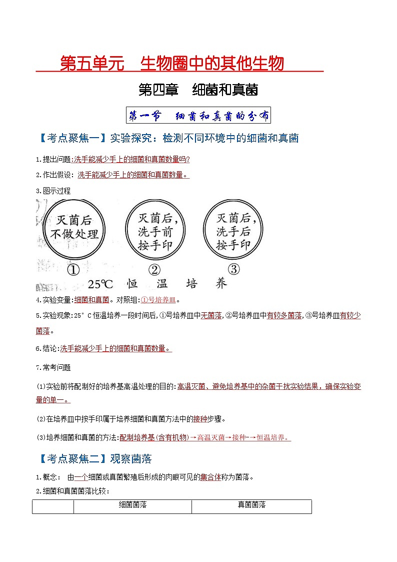 中考生物一轮复习知识点梳理考点 细菌和真菌、病毒01