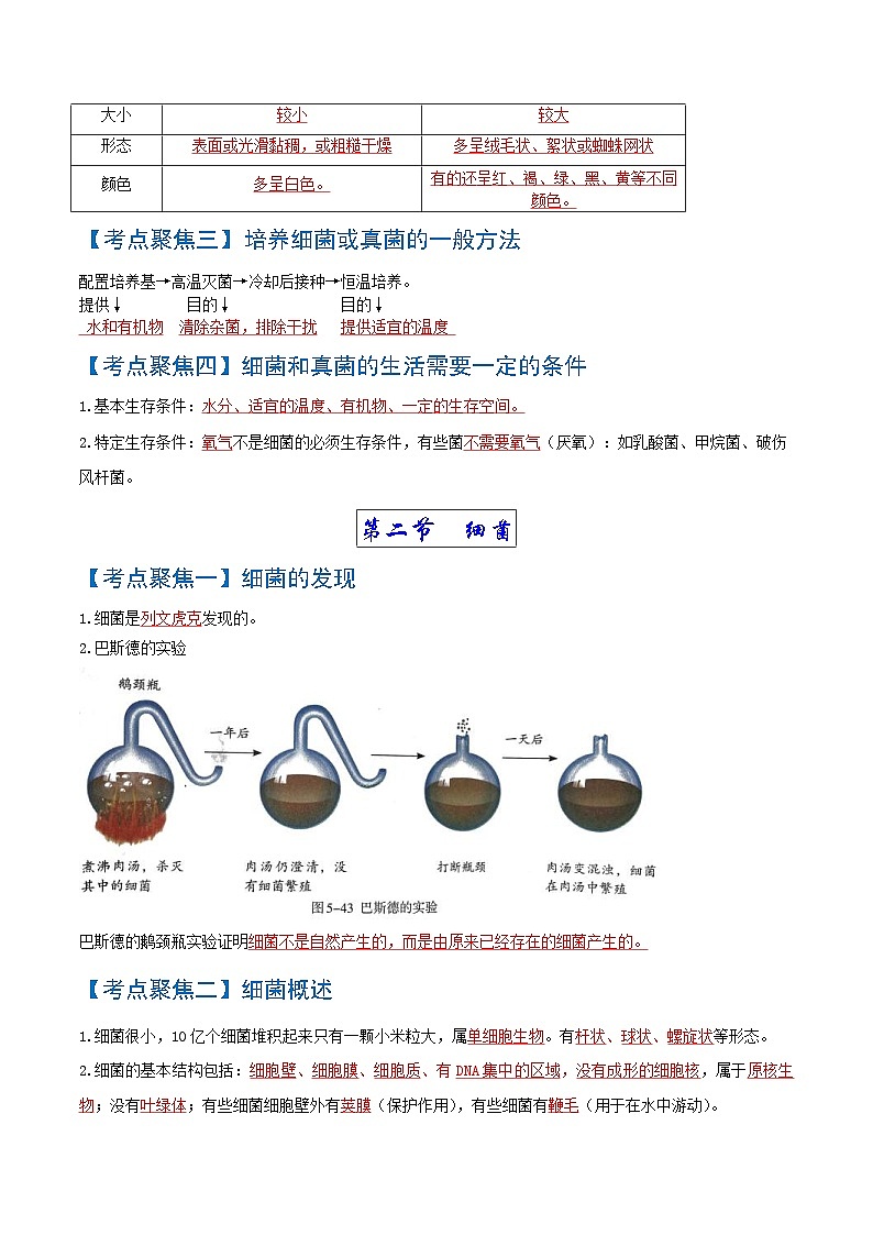 中考生物一轮复习知识点梳理考点 细菌和真菌、病毒02