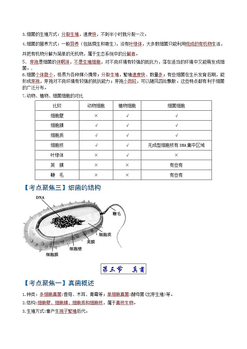中考生物一轮复习知识点梳理考点 细菌和真菌、病毒03