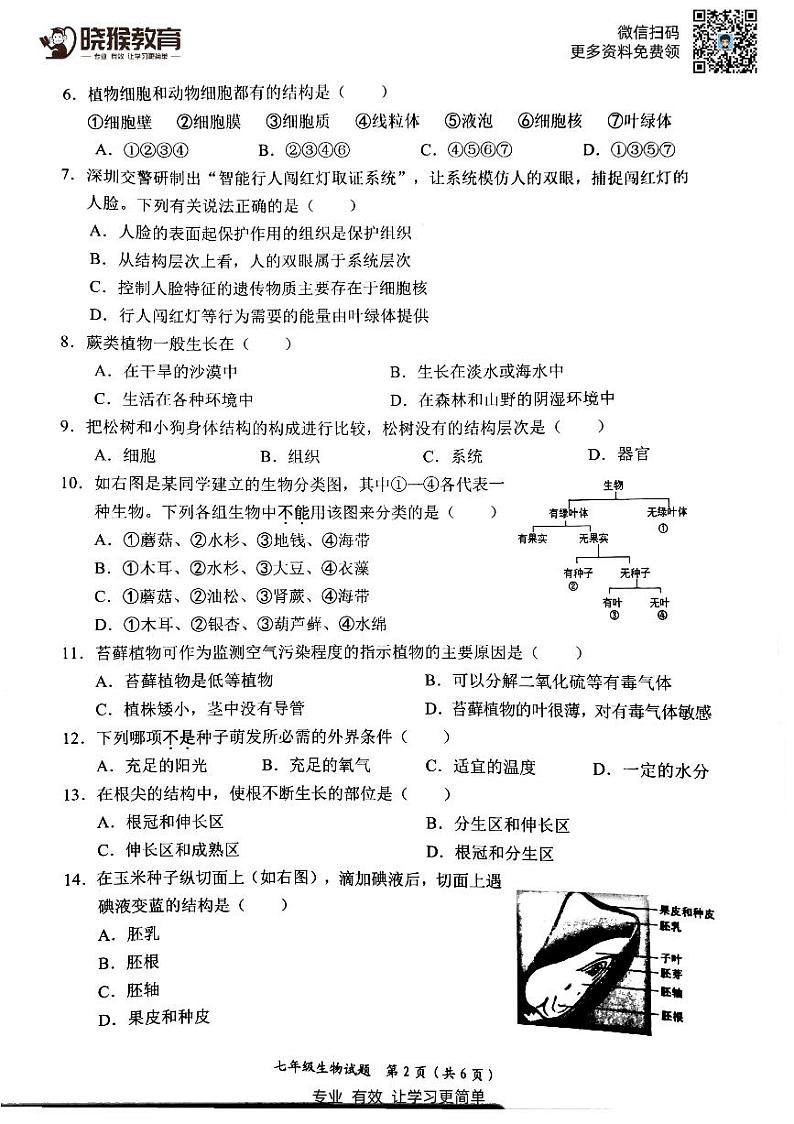 2018-2019学年深圳市罗湖区七年级上学期生物期末统考试卷及参考答案02