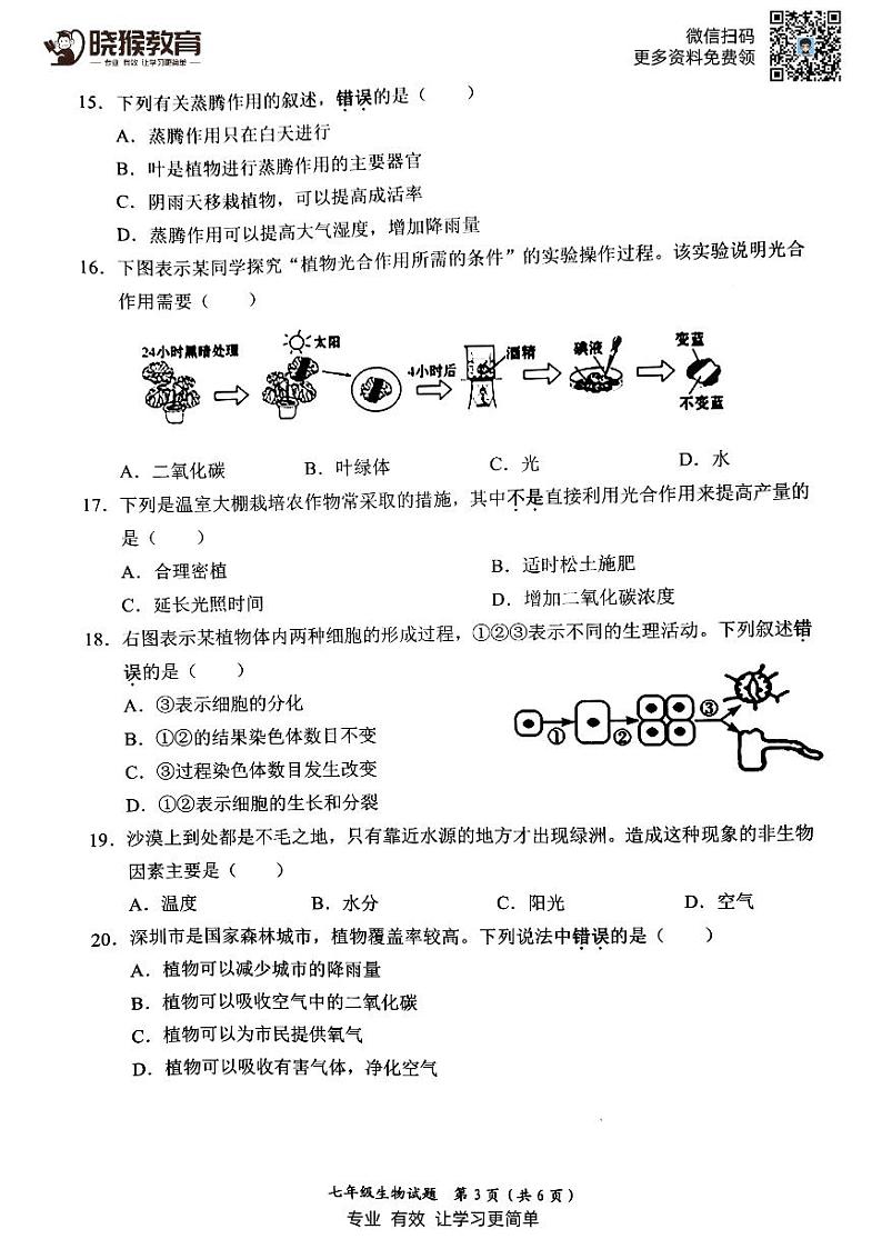 2018-2019学年深圳市罗湖区七年级上学期生物期末统考试卷及参考答案03