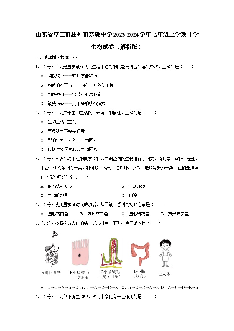 山东省枣庄市滕州市东郭中学2023-2024学年七年级上学期开学生物试卷（含答案）